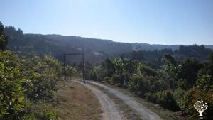 Avocado farm🥑 with beautiful view, surrounded by redwoods, 30 minutes from Santa Cruz