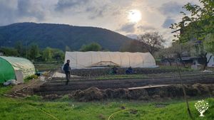 L'orto.

The vegetable garden.