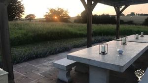 Enjoying the sunset.