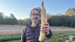 Certified Organic market farm that strives to use organic and regenerative farming practices