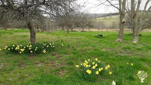 25-acre farm near Kentucky River
