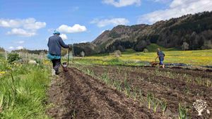 Solidarische Landwirtschaft, Permakultur, Market Garden