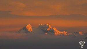 Vegetable little farm with horses