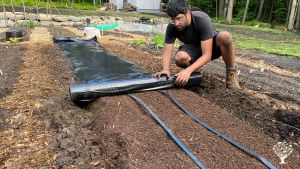 Jonah, notre expert en Permaculture - Jonah, our Permaculture expert 