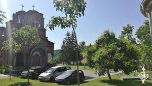 Vineyard, Livestock Farm, Orchard, Mixed Farm, Family farm