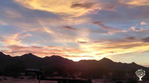 New organic farm and research center focused on foraging and self reliance.