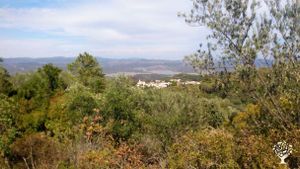 Our village (view down from property)