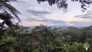 Permacultural life in the mountains