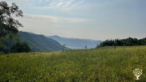 Organic Vegetable farm using permaculture and regenerative agriculture principles