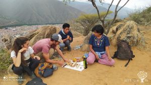 Huerta familiar dónde producimos bayas y verduras libre de pesticidas.