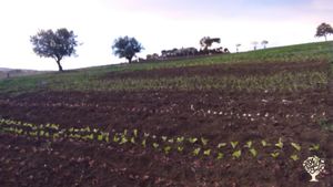 Presidio rurale, colline entroterra  maceratese
