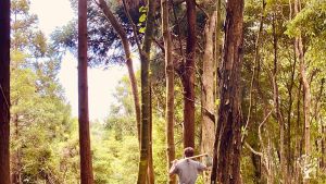 Eco Village / Artist in Residence / Free spaces