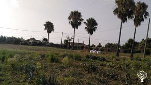 El Huerto