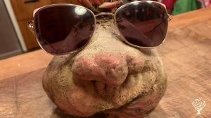 Ferme maraichère en AB