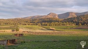 Ferme mixte pratiquant l'agro-foresterie et le pastoralisme.