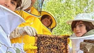 Valdenueces – Finca Agroecológica Silvopastoril en Sierra Morena  Valdenueces es un proyecto familia