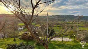 Lazy Farm è un Hub Agricolo che si occua di agricoltura, arte e creatività.
