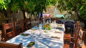 Azienda agricola che coltiva frutti tropicali/Agrumi  , visiti didattiche e ortaggi