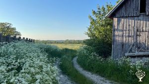 Gotlandic Organic Vegetables and Flower Power