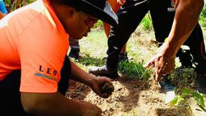 Sustainable ecoturism property with organic gardens, animals, and passion for ecological practices.