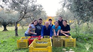 Farm with olive trees, horses ,fruit plants and vegetable gardens
