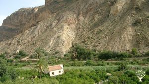 Family home and garden - rural, Market Garden, Orchard, Family farm