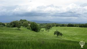 Azienda agricola biologica
