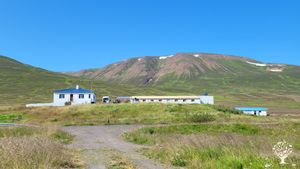 Organically-certified farm growing outdoor vegetables and raising sheep for dairy.