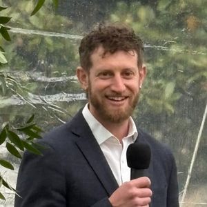 David
