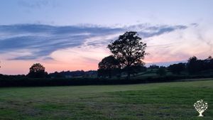 Sunset.
