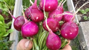 We are a farm shop and tea rooms, growing what we sell.