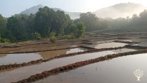 A permaculture fruit forest and cinnamon plantation offering paddy farming and eco-glamping.