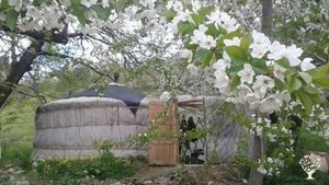 Smallholding, Family farm