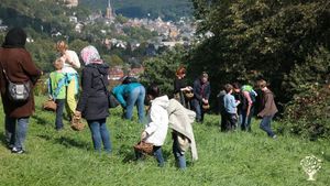 collecting herbs together - in the background the old city of Marburg