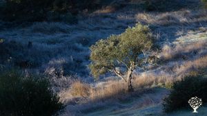 Permaculture project and private nature reserve in Alentejo, Portugal