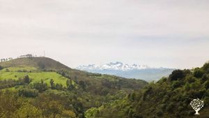 Proyecto de autoconstrucción con huerta y bosque