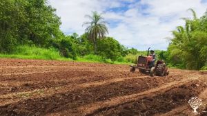 Produção de hortifrutti, leite, paes e doces organicos