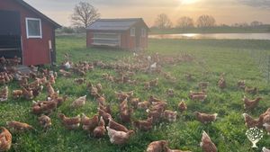 Family farm near the Baltic Sea