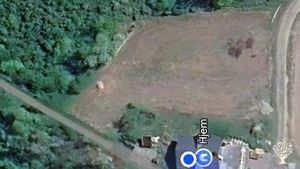 Future vegetable/fruit/berry/garden area.