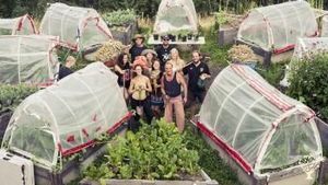 Cultivating human consciousness