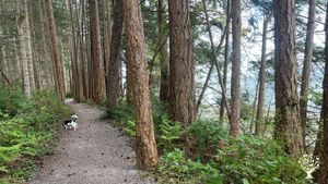 Sea side walk and my pup- a few seashore hikes near the house and a few a a bike ride away.