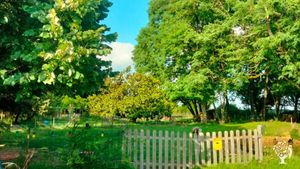 Potager permaculture et animaux