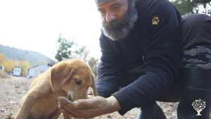 Ekolojik Yaşam Köyü