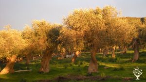 Ecovillaggio basato sulla permacultura