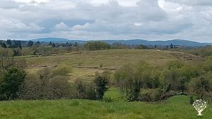 Views of the Sperrins, on a walk close by. 