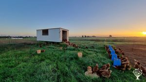 Permaculture inspired farm producing free range eggs, organic no-till veggies and raw honey.