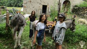 Petite ferme de montagne ,troupeau laitier, potager, acceuil d'enfants
