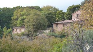 Jardins productifs en permaculture,  agrumes, noisetiers et autres arbres fruitiers  + Gîtes