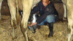 Azienda vitivinicola biologica con vari allevamenti e agriturismo
