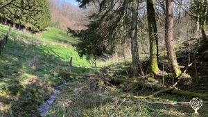 Le ruisseau dans le jardin.